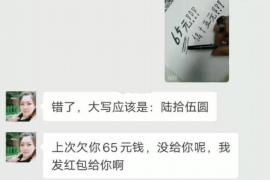 银行还款催收客服:守护金融秩序的守护者 银行还款催收客服:守护金融秩序的守护者